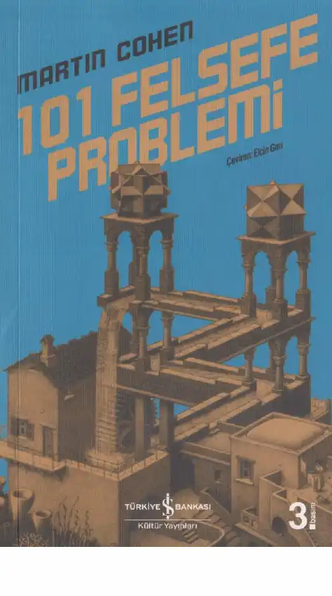 101 Felsefe Problemi — Martin Cohen