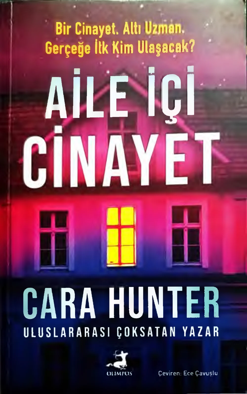 Aile İçi Cinayet — Cara Hunter