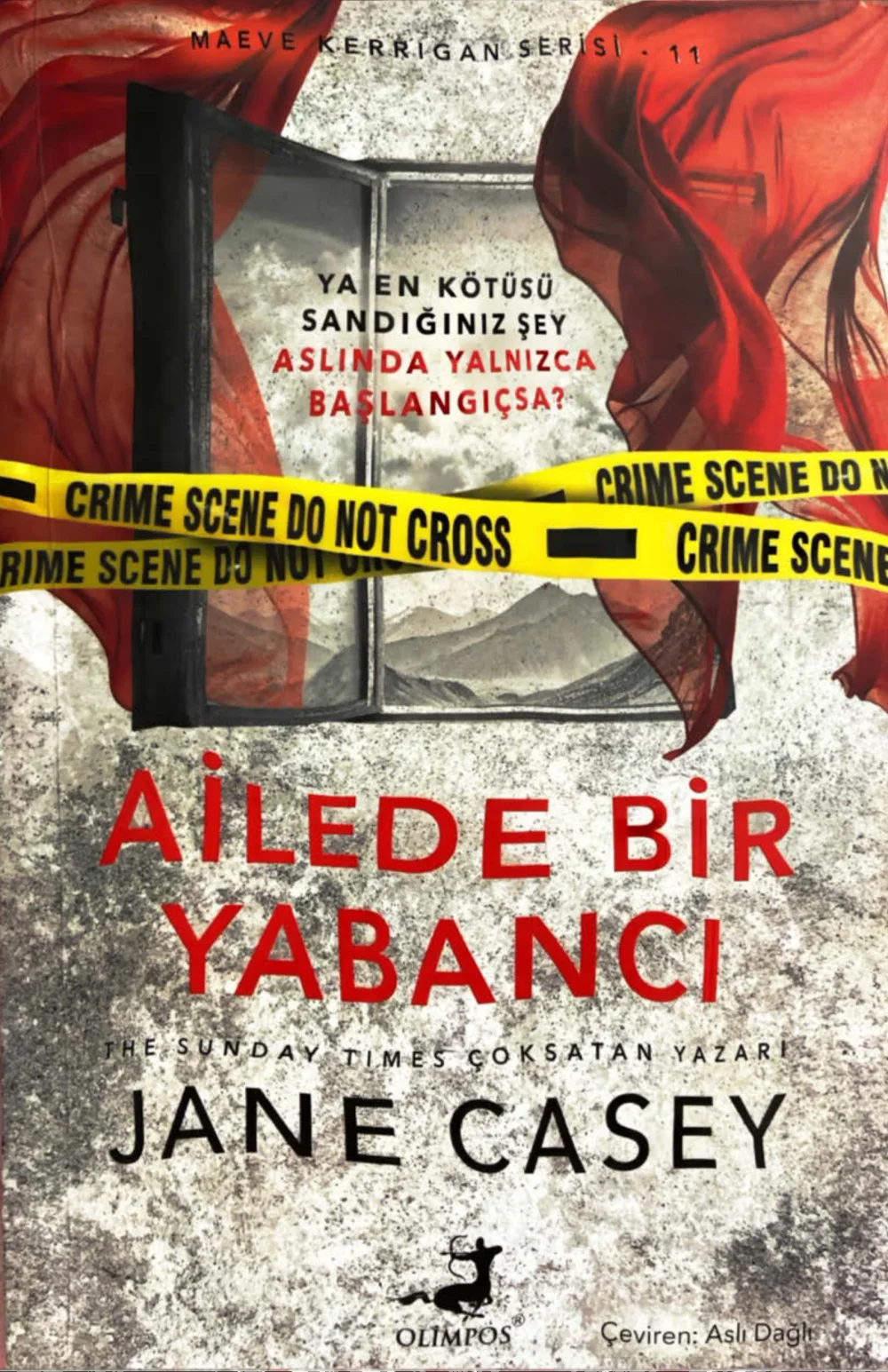 Ailede Bir Yabancı — Jane Casey