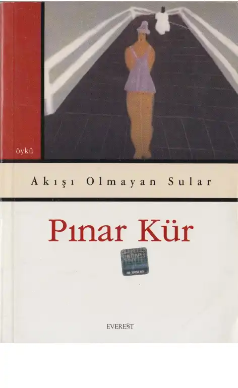 Akışı Olmayan Sular — Pınar Kür