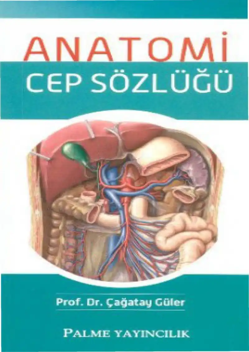 Anatomi Cep Sözlüğü — Çağatay Güler