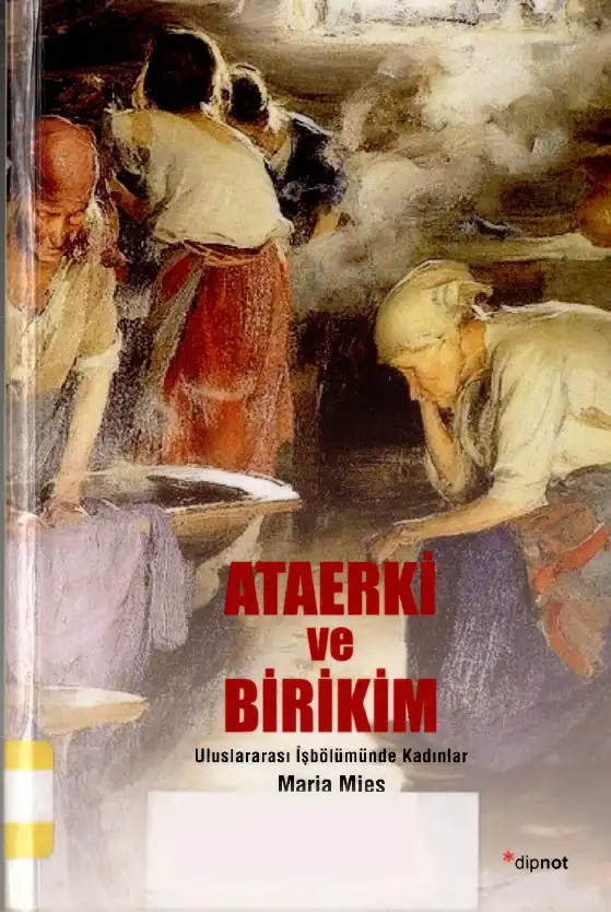 Ataerki ve Birikim: Dünya Ölçeğinde Uluslararası İşbölümünde Kadınlar — Maria Mies