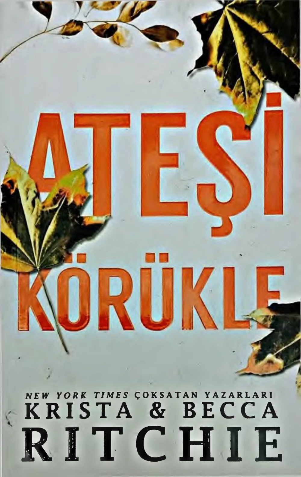 Ateşi Körükle — Krista Ritchie, Becca Ritchie