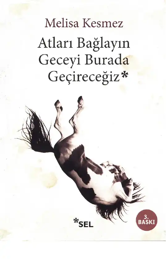 Atları Bağlayın Geceyi Burada Geçireceğiz — Melisa Kesmez