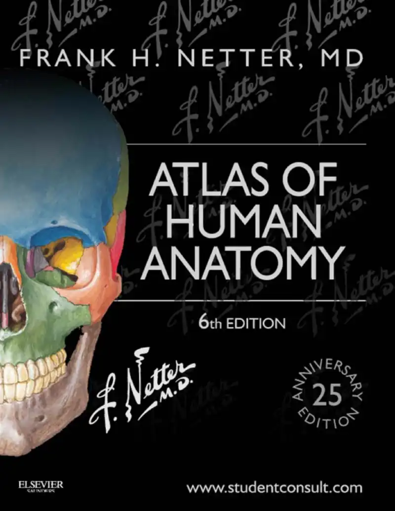 Atlas of Human Anatomy — Frank H. Netter