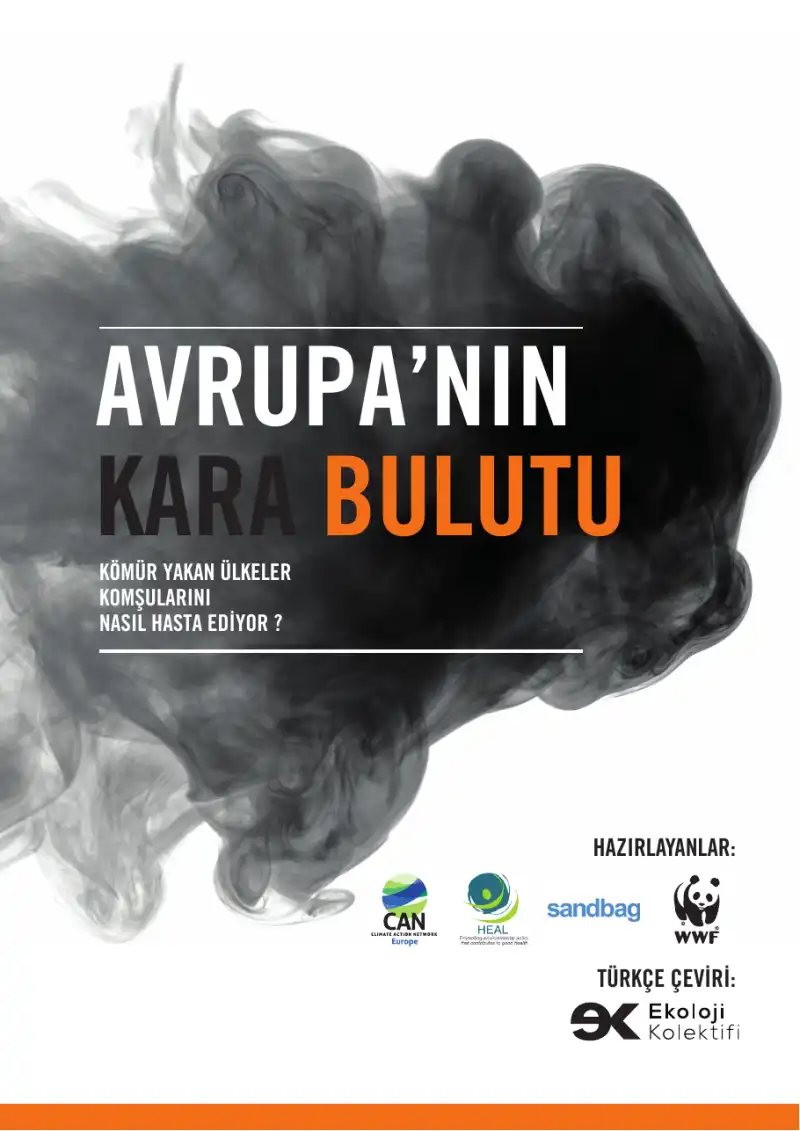 Avrupa'nın Kara Bulutu: Kömür Yakan Ülkeler Komşularını Nasıl Hasta Ediyor? — Doğu Eroğlu