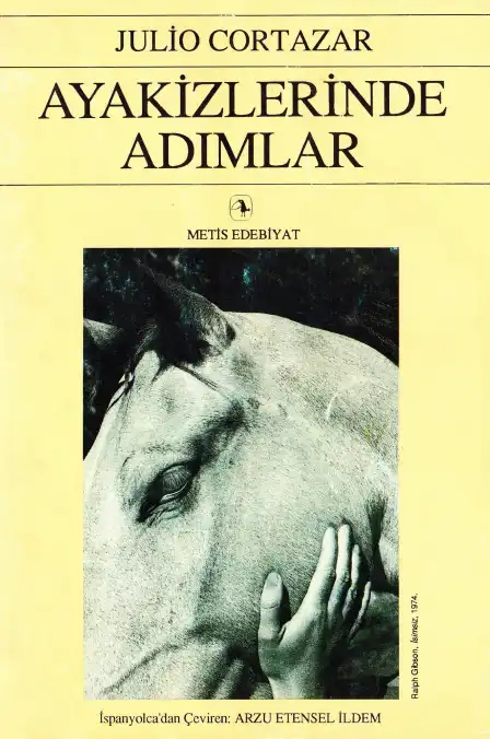 Ayakizlerinde Adımlar — Julio Cortazar