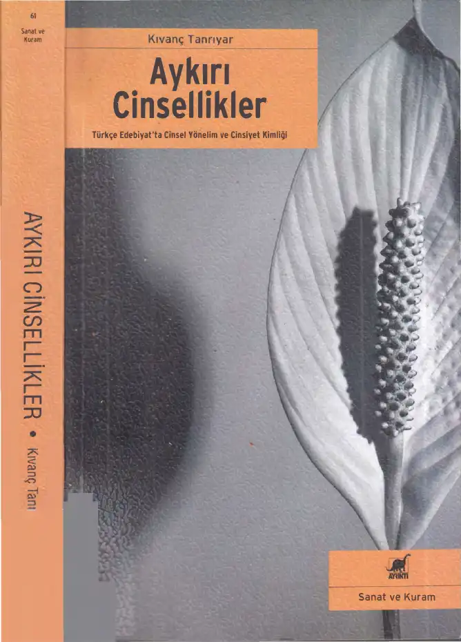 Aykırı Cinsellikler: Türkçe Edebiyat'ta Cinsel Yönelim ve Cinsiyet Kimliği — Kıvanç Tanrıyar
