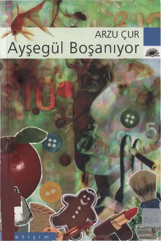 Ayşegül Boşanıyor — Arzu Çur