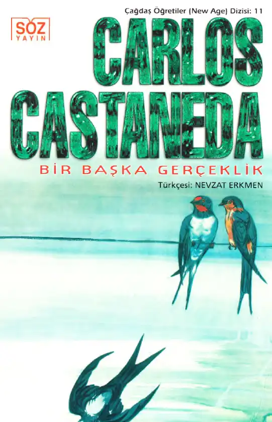 Başka Gerçeklik — Carlos Castaneda