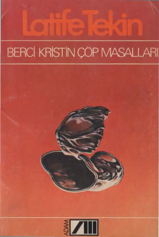 Berci Kristin Çöp Masalları — Latife Tekin