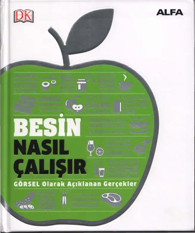 Besin Nasıl Çalışır? — Dorling Kindersley