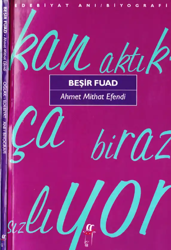 Beşir Fuad — Ahmet Mithat Efendi