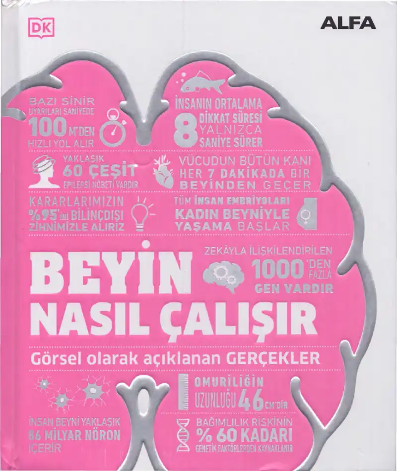 Beyin Nasıl Çalışır — Bilinmiyor