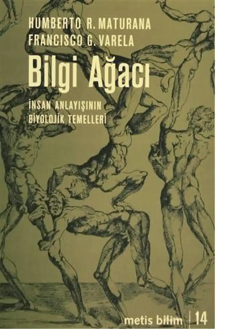 Bilgi Ağacı: İnsan Anlayışının Biyolojik Temelleri — Humberto R. Maturana, Francisco G. Varela