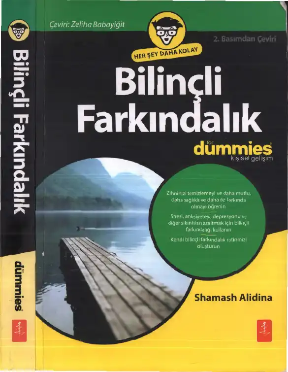 Bilinçli Farkındalık — Shamash Alidina