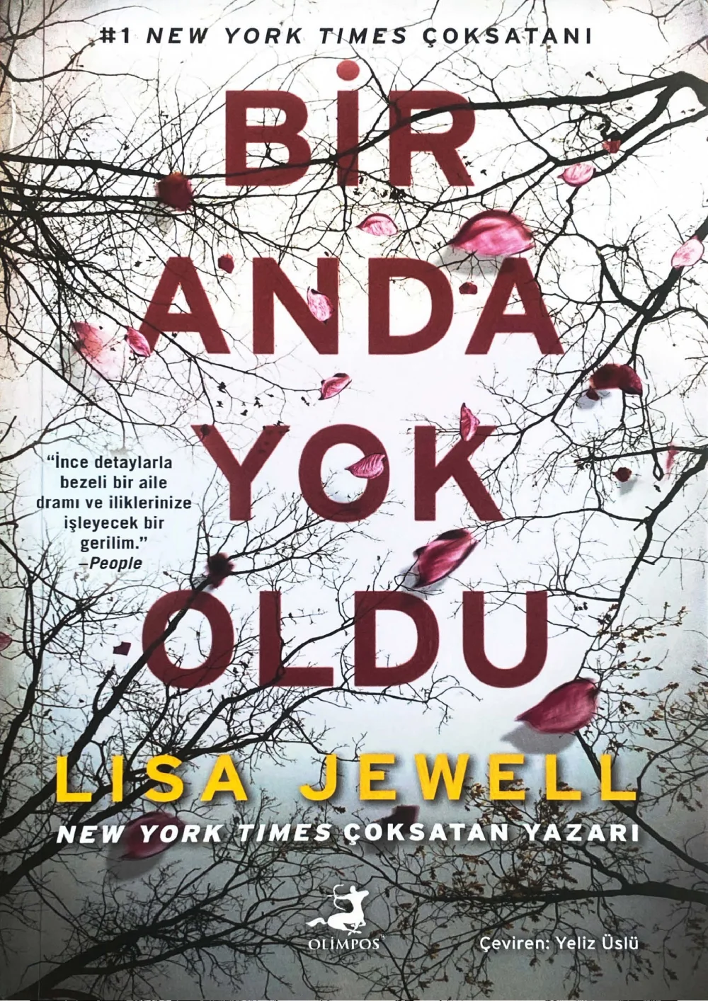Bir Anda Yok Oldu — Lisa Jewell