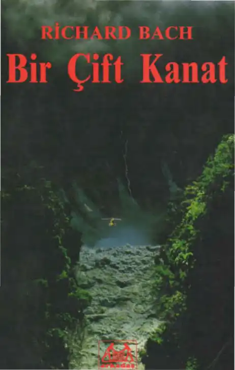 Bir Çift Kanat Arkadaş — Richard Bach