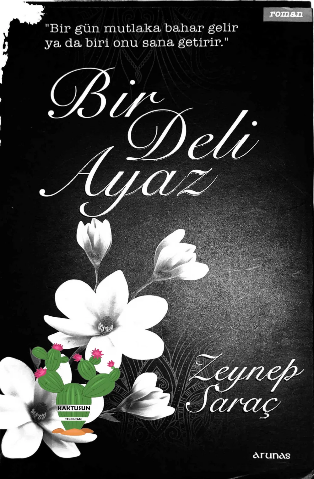 Bir Deli Ayaz — Zeynep Saraç