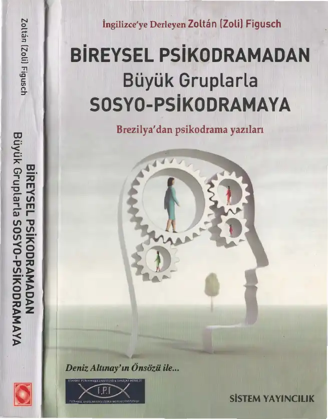 Bireysel Psikodramadan Büyük Gruplarla Sosyo-Psikodramaya — Zoltan Figusch