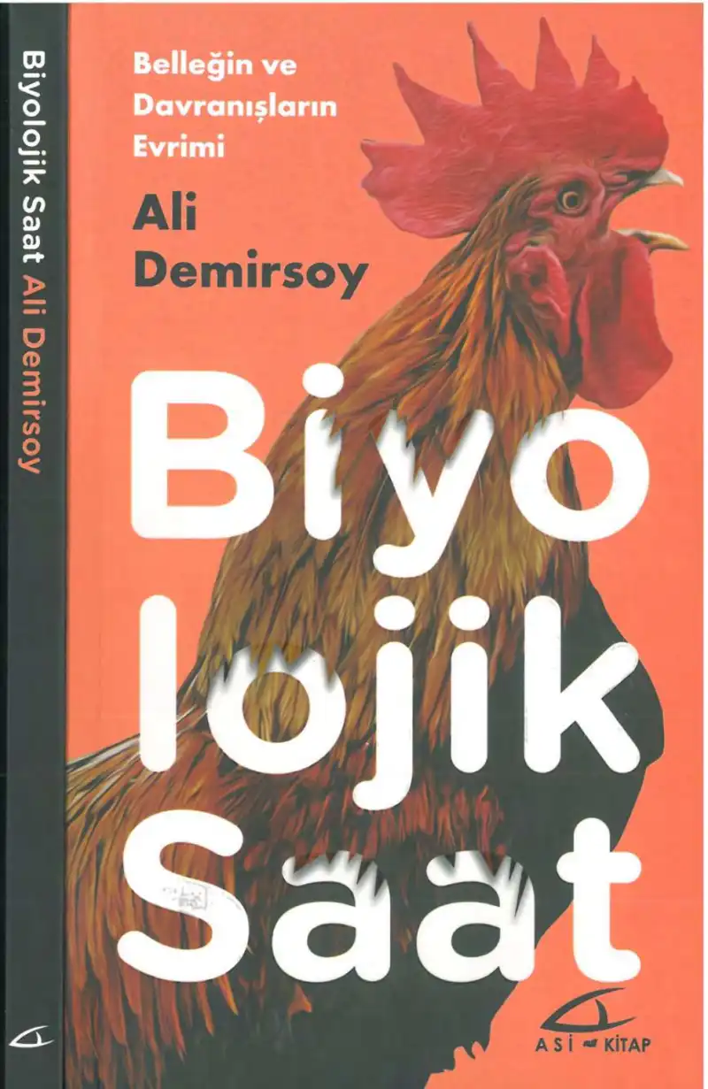 Biyolojik Saat — Ali Demirsoy