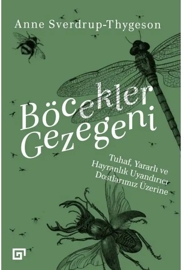 Böcekler Gezegeni: Tuhaf, Yararlı ve Hayranlık Uyandırıcı Dostlarımız Üzerine — Anne Sverdrup-Thygeson