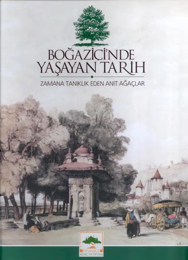 Boğaziçi'nde Yaşayan Tarih: Zamana Tanıklık Eden Anıt Ağaçlar — Bilinmiyor