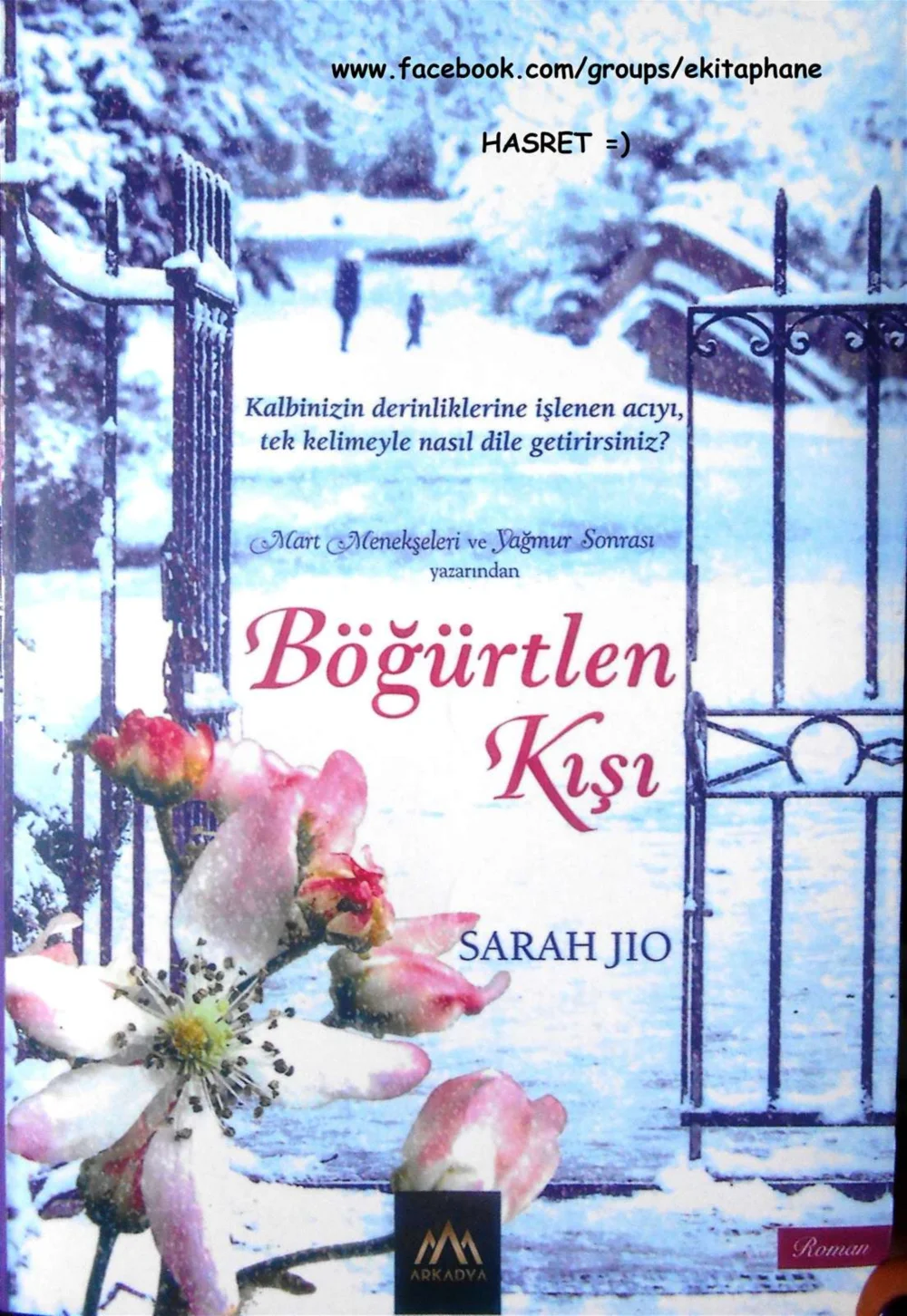 Böğürtlen Kışı — Sarah Jio