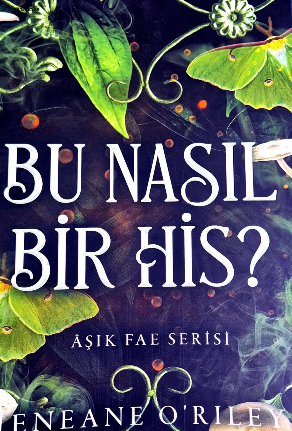 Bu Nasıl Bir His? — Jeneane O'Riley