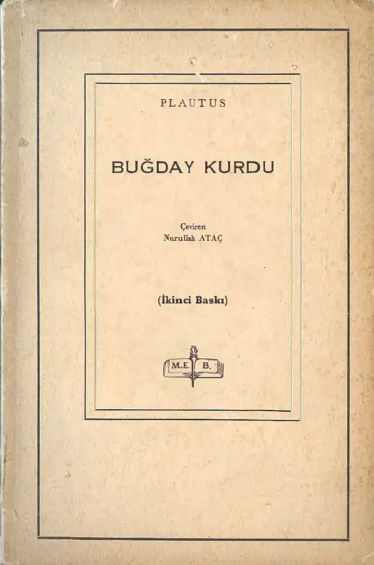 Buğday Kurdu — Plautus