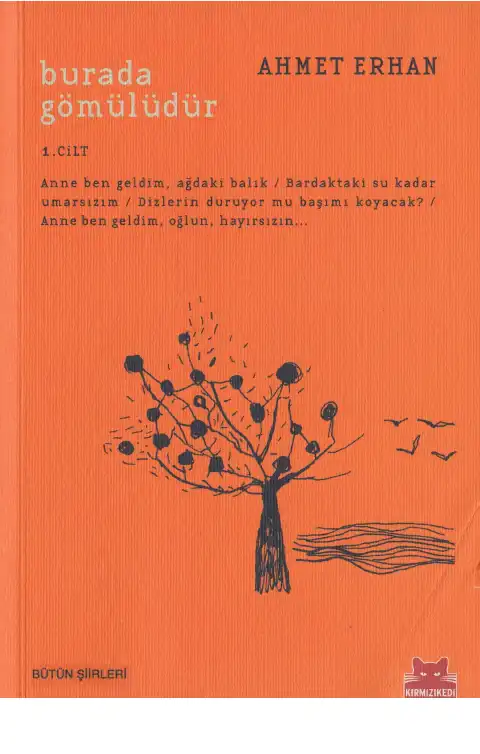 Burada Gömülüdür — Ahmet Erhan