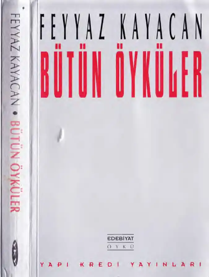 Bütün Öyküleri — Feyyaz Kayacan