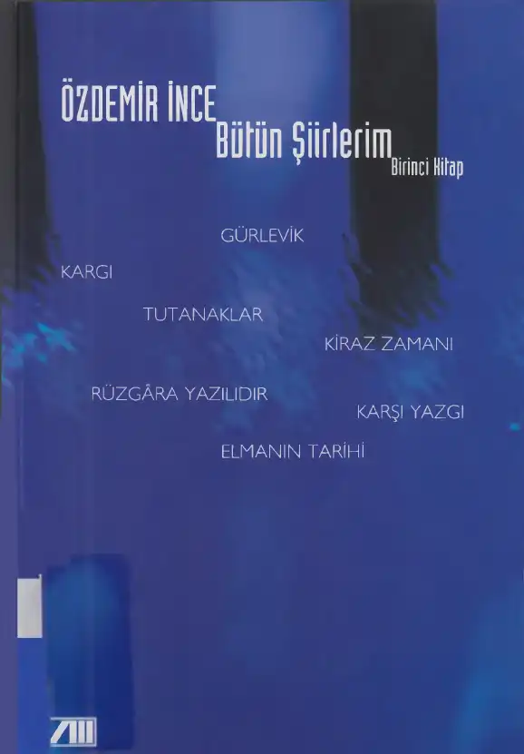 Bütün Şiirlerim 1 — Özdemir İnce