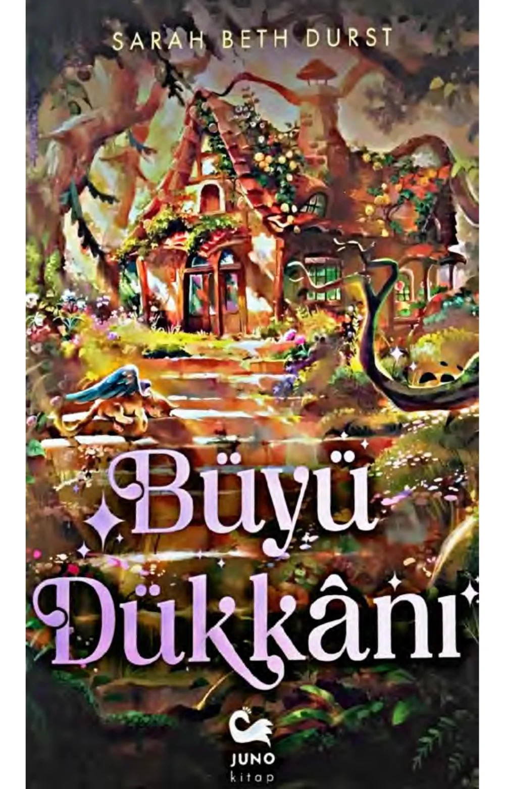 Büyü Dükkanı — Sarah Beth Durst
