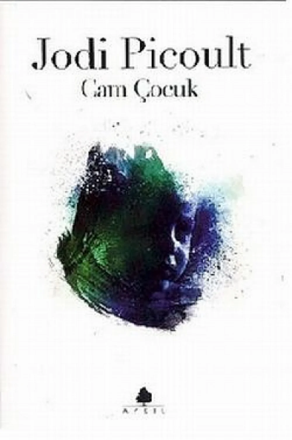 Cam Çocuk — Jodi Picoult