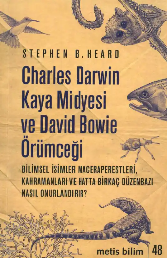 Charles Darwin Kaya Midyesi ve David Bowie Örümceği — Stephen B. Heard