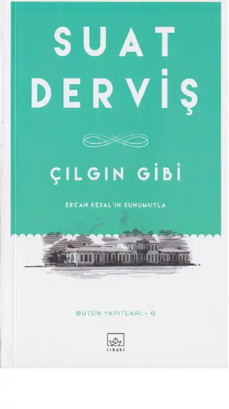 Çılgın Gibi — Suat Derviş