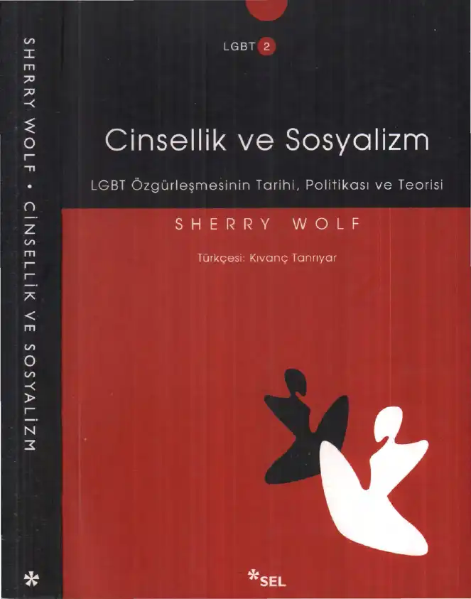 Cinsellik ve Sosyalizm: LGBT Özgürleşmesinin Tarihi, Politikası ve Teorisi — Sherry Wolf