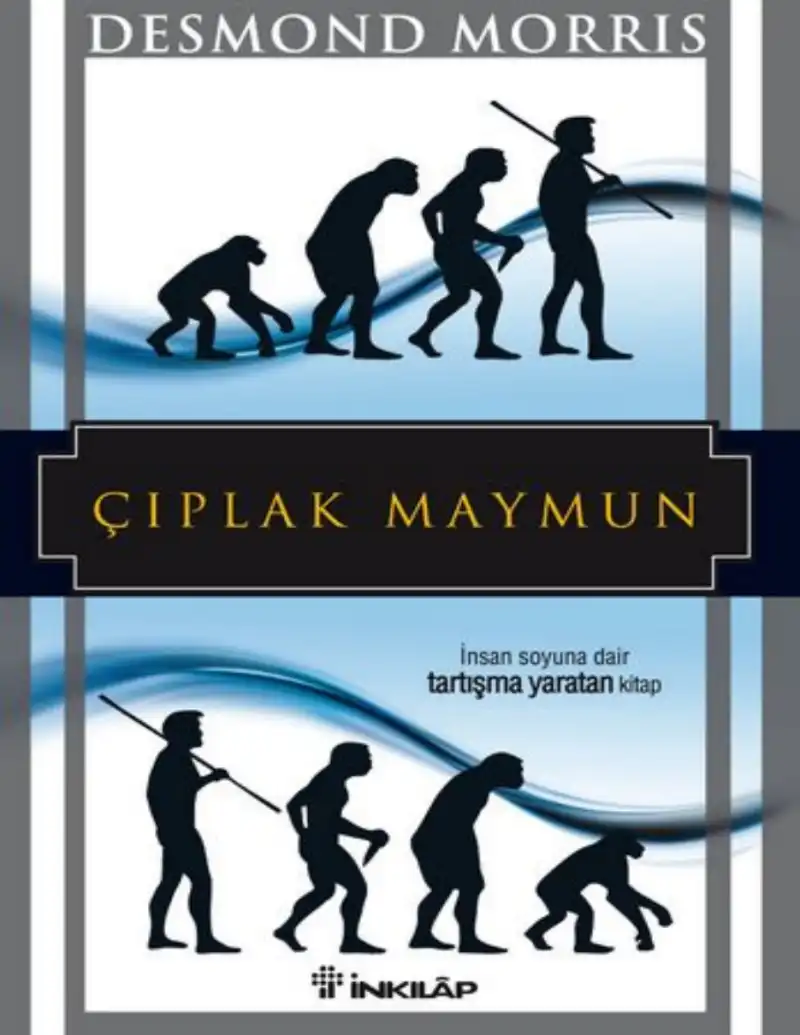 Çıplak Maymun — Desmond Morris