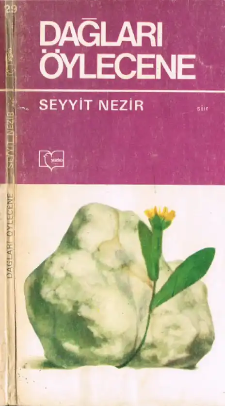 Dağları Öylecene — Seyyit Nezir