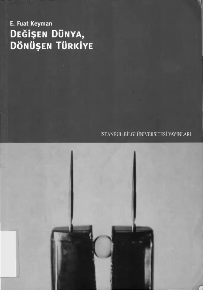 Değişen Dünya Dönüşen Türkiye — E. Fuat Keyman