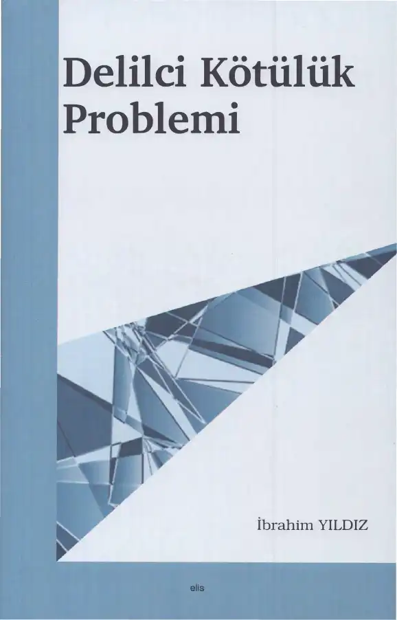 Delilci Kötülük Problemi — İbrahim Yıldız, Bora Erdağı