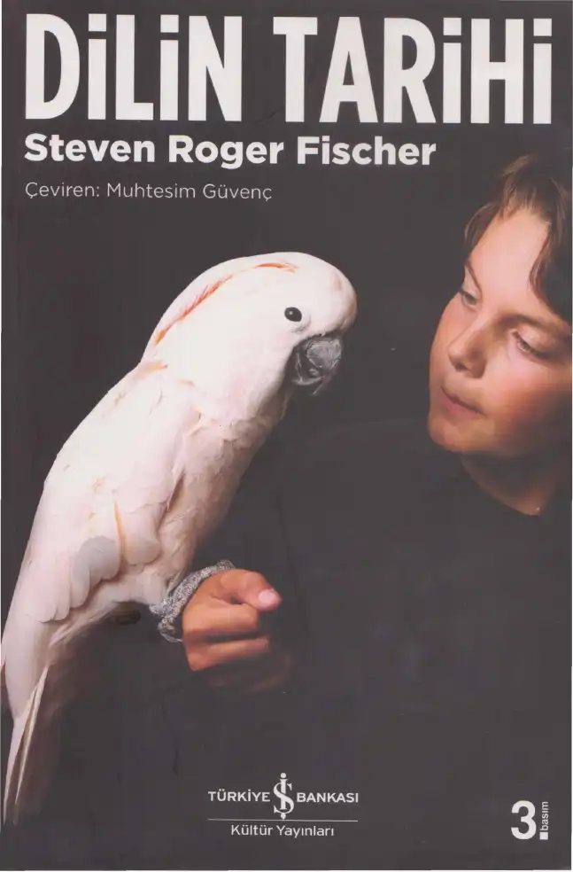 Dilin Tarihi — Steven Roger Fischer