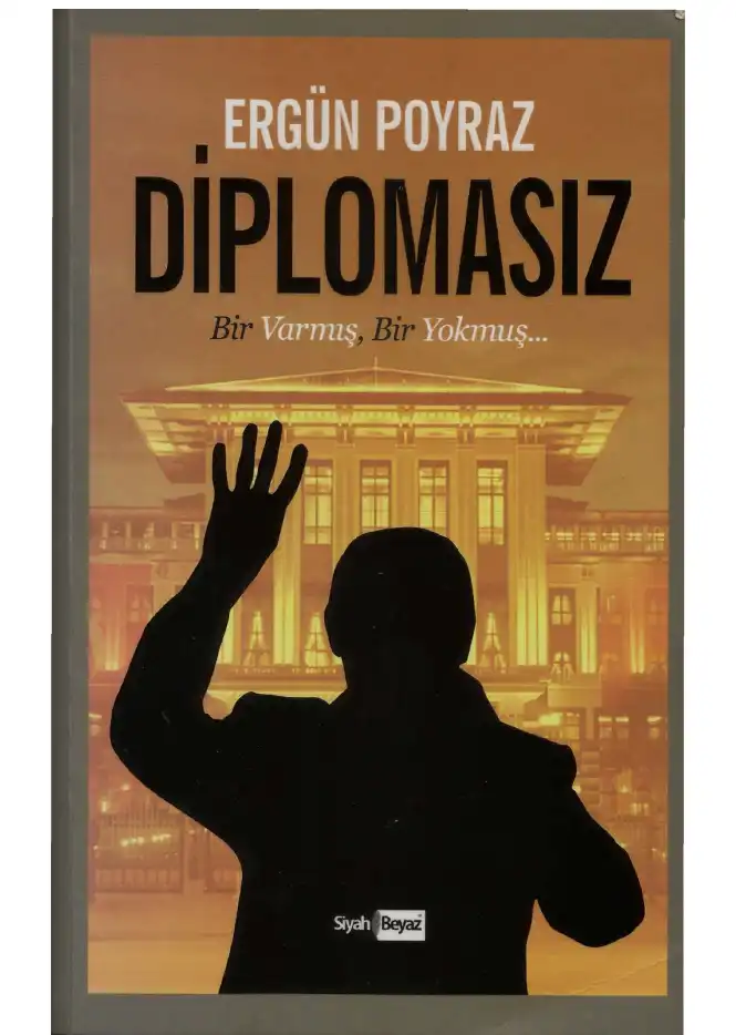 Diplomasız — Ergün Poyraz