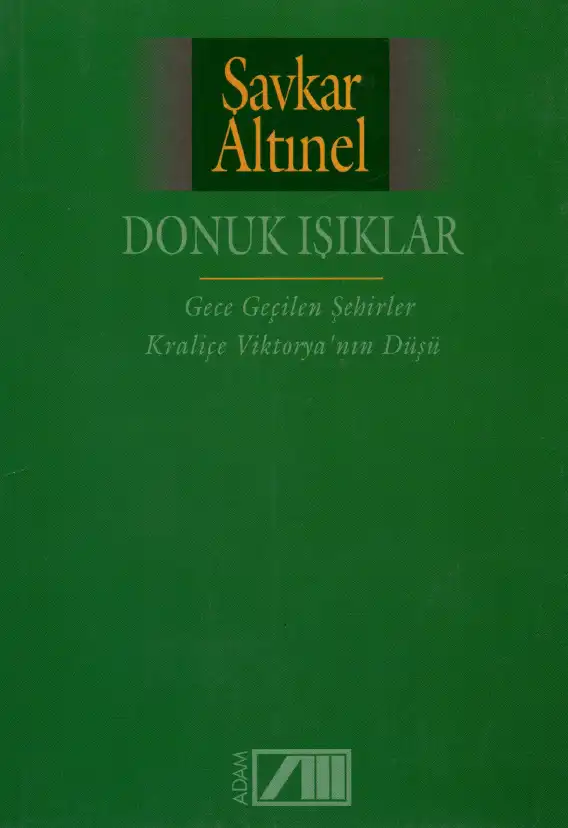 Donuk Işıklar — Şavkar Altınel