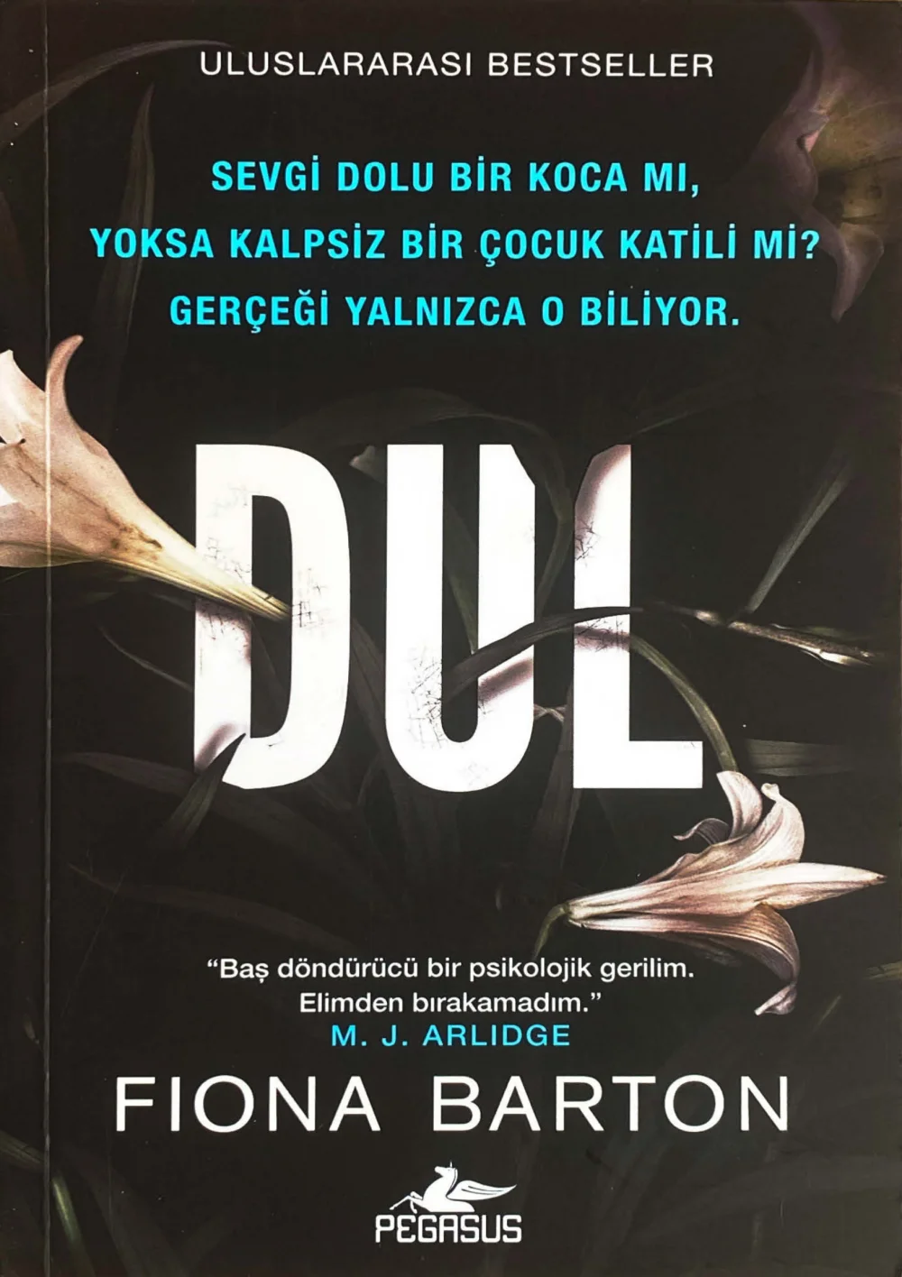 Dul — Fiona Barton