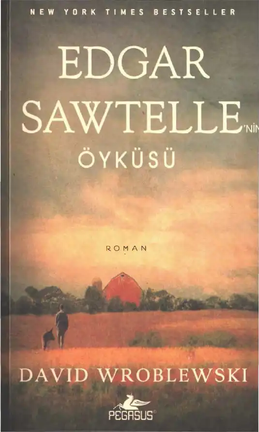 Edgar Sawtelle'nin Öyküsü — David Wroblewski