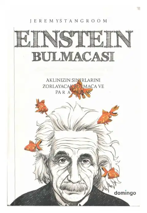Einstein Bulmacası — Jeremy Stangroom