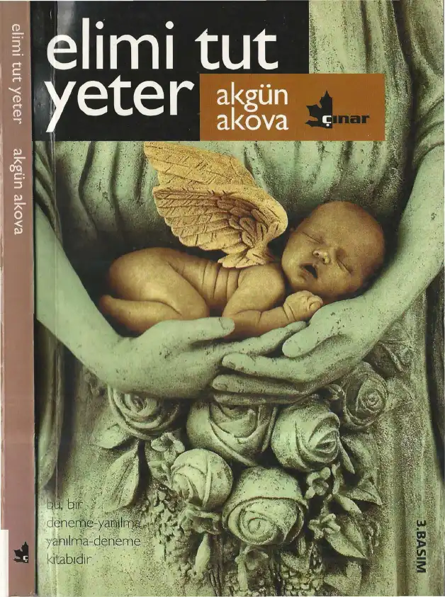 Elimi Tut Yeter — Akgün Akova
