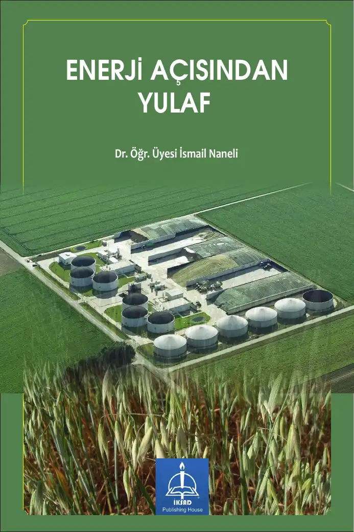 Enerji Açısından Yulaf — İsmail Naneli
